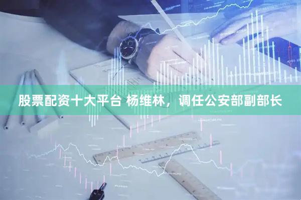 股票配资十大平台 杨维林，调任公安部副部长