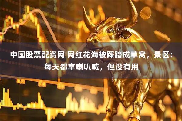 中国股票配资网 网红花海被踩踏成草窝，景区：每天都拿喇叭喊，但没有用