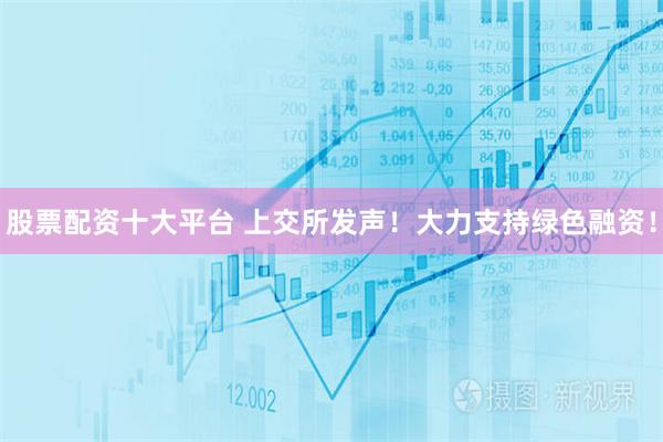 股票配资十大平台 上交所发声！大力支持绿色融资！